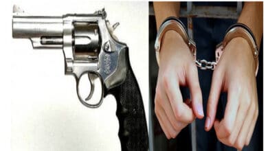 Photo of ঈশ্বরদীতে র‌্যাবের অভিযানে রিভালবারসহ ২ জন গ্রেফতার