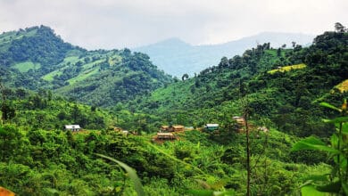 Photo of বান্দরবানে জেএসএসের দু’পক্ষের গোলাগুলিতে নিহত ৬