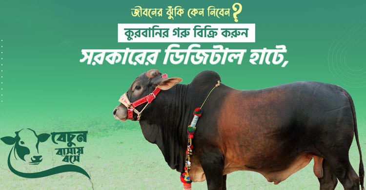 Photo of সরকারি উদ্যোগে ‘কুরবানির পশুর ডিজিটাল হাট’