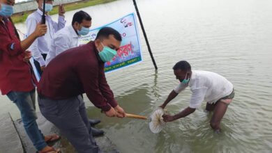 Photo of বরগুনার তালতলীতে জাতীয় মৎস সপ্তাহ পালিত।