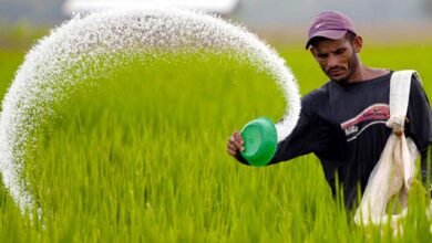 Photo of চওড়া দামে বিক্রি হচ্ছে ইউরিয়া সার