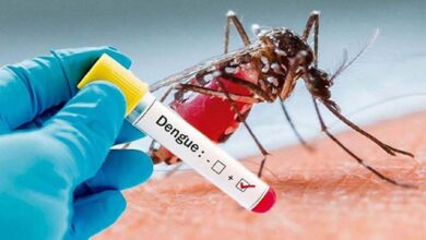 Photo of ডেঙ্গু আক্রান্ত হয়ে আরও ৩১৯ জন হাসপাতালে ভর্তি