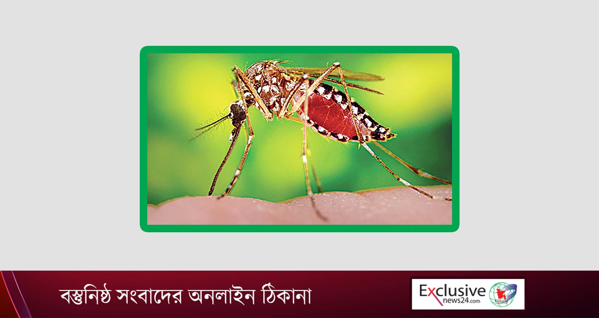 Photo of ডেঙ্গুতে মোট ভর্তি ছাড়াল ১২ হাজার,  হাসপাতালে আরও ২৭৫!