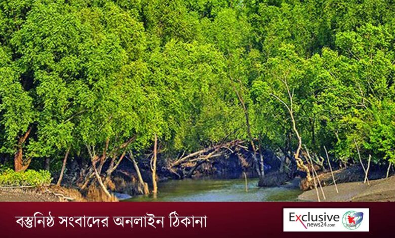 Photo of প্রশাসন একাডেমির জন্য বরাদ্দ ৭০০ একর বনভূমি