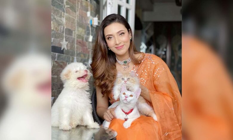 Photo of মিমের পিছু নেয় বার্বি, জোজো ও ক্যান্ডি