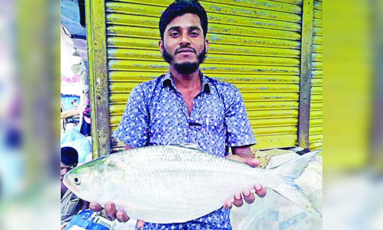 Photo of ৪৩০০ টাকা ১ ইলিশ!