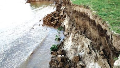 Photo of রাজবাড়ীর পদ্মায় ফের ভাঙন