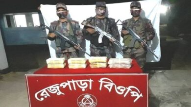 Photo of ভয়াবহ মাদক আইসের সবচেয়ে বড় চালান জব্দ