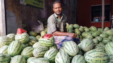 Photo of তরমুজের কেজি ১০ টাকা, এরপরও ক্রেতা নেই