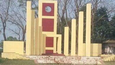 Photo of আজ মতলব মুক্ত দিবস