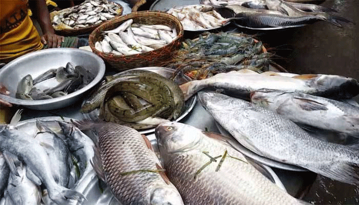 Photo of তাজা মাছ চিনবেন কীভাবে?
