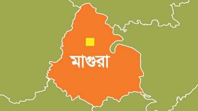 Photo of মাগুরায় প্রতিপক্ষের হামলায় একজন নিহত, দুই পুলিশ সদস্যসহ আহত ৩