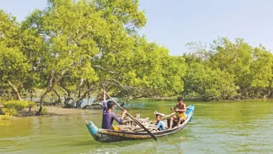 Photo of একসঙ্গে সৈকত ও বনের স্বাদ