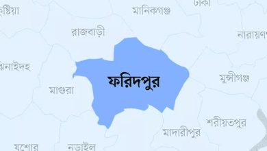 Photo of ফরিদপুরে ট্রাকের ধাক্কায় তিন বন্ধু নিহত