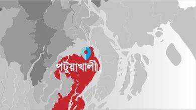 Photo of যৌতুকের জন্য স্ত্রীকে শারীরিক নির্যাতন, পেটে লাথি মেরে বাচ্চা প্রসব