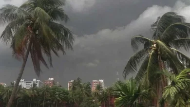 Photo of বাড়বে দিনের তাপমাত্রা, কোথাও কোথাও ঝোড়ো বৃষ্টির আভাস