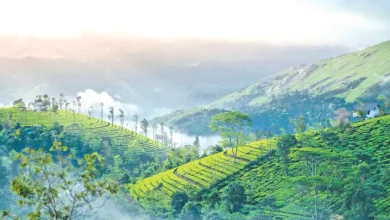 Photo of ঈদে লম্বা ভ্রমণের পরিকল্পনা করতে যা করবেন