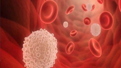 Photo of শরীরে শ্বেত রক্তকণিকা বাড়াবে যেসব খাবার