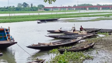 Photo of দিনের ছবি (১৮ আগস্ট, ২০২৪)