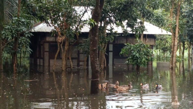 Photo of কুমিল্লার বন্যার পানি ঢুকছে চাঁদপুরে, নিম্নাঞ্চল প্লাবিত