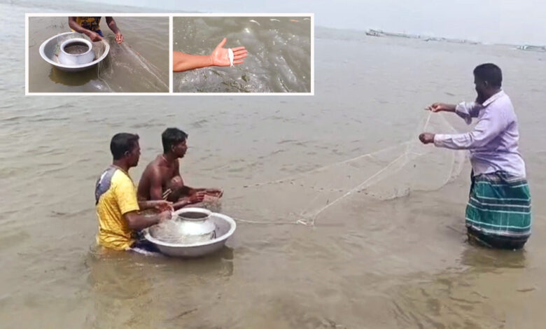 Photo of শীতলক্ষ্যার দূষিত পানি মেঘনায়,মাছের মড়কে আতঙ্ক