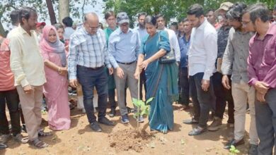 Photo of শালবনে আবার শাল গাছ ফেরত আনা হবে: উপদেষ্টা রিজওয়ানা হাসান