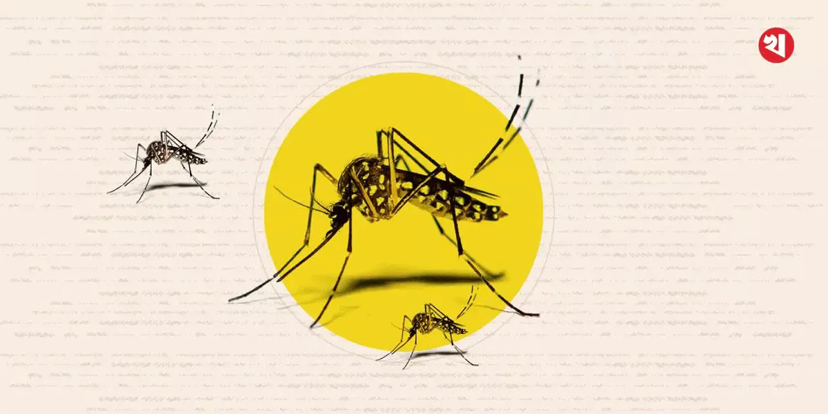 Photo of চট্টগ্রামে ডেঙ্গু আক্রান্ত ২২, চিকুনগুনিয়ায় ১১