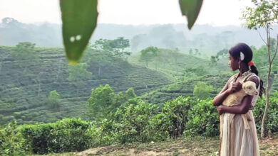 Photo of যুক্তরাষ্ট্রের এমা অ্যাওয়ার্ডে বাংলাদেশের স্বল্পদৈর্ঘ্য ‘নিশি’